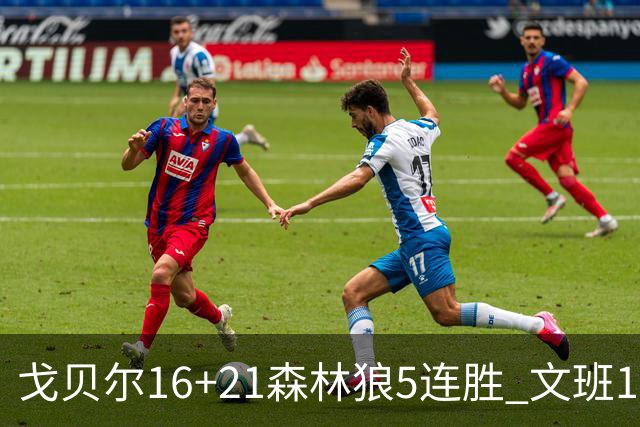 戈贝尔16+21森林狼5连胜 文班12+10马刺15连败